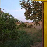 فروش باغچه باغ سرسبز سنددار|فروش زمین و ملک کلنگی|تهران, خلیج فارس|دیوار