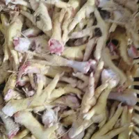 پا ومرغ ضایعاتی شسته فقط جهت سگ وگربه خوراک سگ