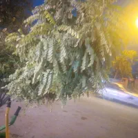 سوله و زمین کاربری شده