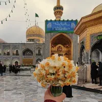 تور مشهد ریلی