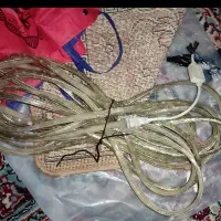 چراغ ال ای دی ریسه ای شلنگی دو سایز ۱۵ و ۶ متر