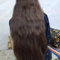 ابریشم