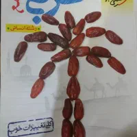 کتاب کنکور عربی خیلی سبز جامع