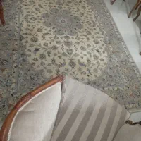 فرش دست بافت دوتا۶ متری|فرش|پردیس, فاز ۸|دیوار