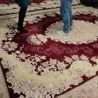 دو عدد فرش ۱۲ متری|فرش|خزل, |دیوار