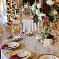 صندلی تالار مدرن و جدیدمخصوص خرید عمده|میز و صندلی غذاخوری|تهران, سلسبیل جنوبی|دیوار