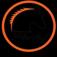 دو عدد زین اسب