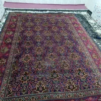 قالی ترنج|فرش|سنندج, |دیوار