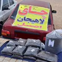 چای لاهیجان اصل