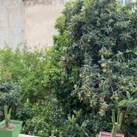 اپارتمان-3خوابه