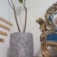گلدان بزرگ|گل و گیاه طبیعی|رباطکریم, نصیرشهر|دیوار