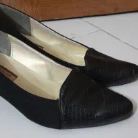 کفش مجلسی