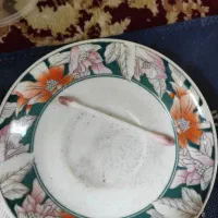 شهاب سنگ|کلکسیون اشیاء عتیقه|رشت, بلوار گیلان|دیوار