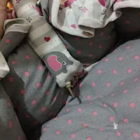 کریر،ساک،مبل،تشک|کالسکه و لوازم جانبی|مشهد, مصلی (کارمندان اول)|دیوار