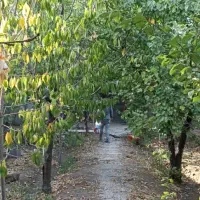 زمینی-در-کهک-با-فاصله-100-متری-از-بلوار-اصلی