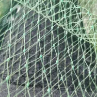 جل میگی|ماهیگیری|بندرعباس, |دیوار