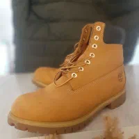 بوت تیم برلند