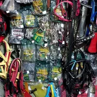 جل اسب|اسب و تجهیزات اسب‌سواری|رشت, کوی مهر|دیوار