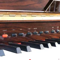 پیانو دیجیتال سوزوکی VG-88|پیانو، کیبورد، آکاردئون|قم, جهان بینی|دیوار