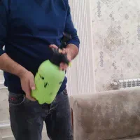 مبلشویی پاکیزه