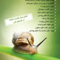 حلزون مولد تخم گذار و بچه حلزون|خزنده|بم, |دیوار