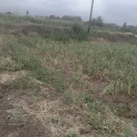 فروش زمین کشاورزی به متراژ۱۸۰۰متر.و۸۰۰مترهم