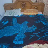 منزل مبله تر و تمیز