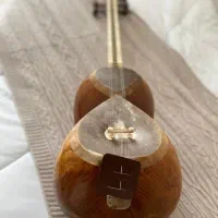 ساز تار بسیار خوش صدا و حرفه ای