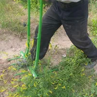 باغبانی و کشاورزی|خدمات باغبانی و درختکاری|تبریز, |دیوار