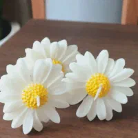 سلام ، سفارش انواع شمع پذیرفته میشود|صنایع دستی و سایر لوازم تزئینی|گرمدره, |دیوار