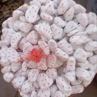 قلوه سنگ مشکی و سفید