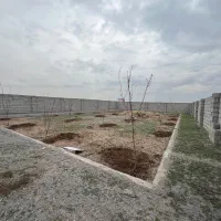 باغچه-ایستگاه-شیخ-حسن