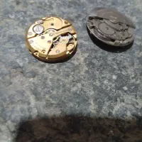 موتور طلای وستین واچ آکبند نونو