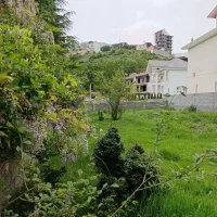 450-متر-زمین-3-بر-چشم-انداز-رو-به-جنگل-سند-تک-برگ