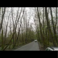 ویلا دوبلکس نیمه‌کاره زمین ۲۴۵متر دو نبش، صفرابسته|فروش خانه و ویلا|آستانه اشرفیه, |دیوار