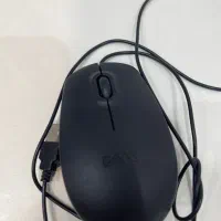 ماوس
