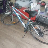 دوچرخه برقی رالی اصل|دوچرخه، اسکیت، اسکوتر|ری, علایین|دیوار