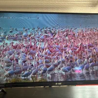 تلوزیون با ابعاد ۲۶ تا ۴۹ مخصوص (دوربین و باغ)|تلویزیون و پروژکتور|اصفهان, خلجا|دیوار