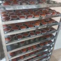 دستگاه فر شیرینی و کیک کانوکشن اصلی|کافی‌شاپ و رستوران|تهران, شهرک شریفی|دیوار