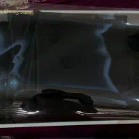 روتختی ترک نو|سرویس روتختی|رشت, کوی بیانی|دیوار