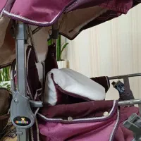 کالسکه و روروئک کاملا نو