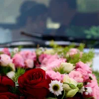 فیلمبرداری و عکاسی حرفه ای با قیمت اقتصادی