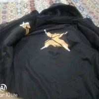 کاپشن مردانه|لباس|داراب, |دیوار