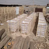 فروش باکس کارتنی و چوبی خریدچوب تخته پالت تراش