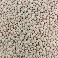 برنج و حبوبات درجه یک