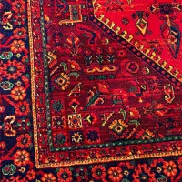 فرش قاجار(فرش آوین)لاکی|فرش|تبریز, |دیوار