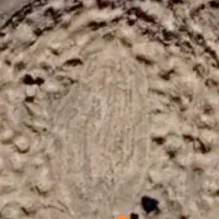 کوزه و خمره گلی