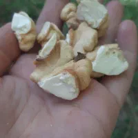 گردو تویسرکان