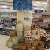 نیازمند فروشنده خانم