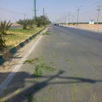 باغبانی و تنظیفات منازل